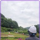 구구드론