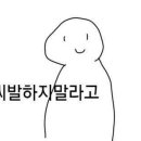 아침조아