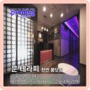 문테라피 - 29471 | 문테라피