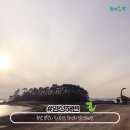 염성해수욕장 이미지