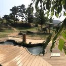 코코애견클럽 이미지