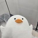 리앙헤어 - 무안군 남악3로 56 | [부산 왁싱 추천] 수영복 하이컷도 당당하게! 화사한 오늘 리앙왁싱 저자극 슈가링 후기