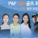 피앤에프솔루션