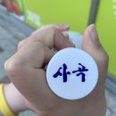 알밤디자인 이미지