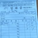 7월4일(금) 블루베리 휴식, 들깨심기, 밭조성 공판(중앙) 24일차, 오징러세림 넷플릭스 완독(6회) 이미지