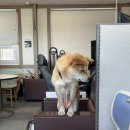 진주 운전면허 학원 정촌자동차 이루다필라테스 진주혁신점 후기