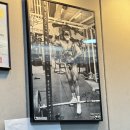 짐 다운 GYM 이미지