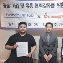 바쿠스 시선뉴스