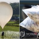 대남