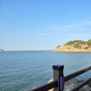 영배농장 | 7월 일상