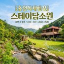 담소원 | 주말 1박 2일 힐링 가족 여행, 자연 속 홍천독채펜션 '스테이담소원' 다녀온 후기 (홍천펜션 추천)