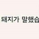 함사람 이미지