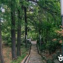 5월 민주화의 도시 광주 여행 이미지