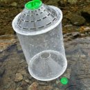 고향펜션캠핑 이미지