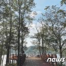 가을 끝자락 11월 걷기좋은 길…춘양목 솔향기길 등 6곳 이미지