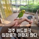 경주제일어린이집 | 경주 버드파크 아이랑 방문 후기 - 입장료 할인 꿀팁