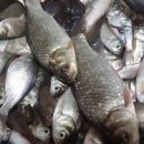 산골의하루 이미지