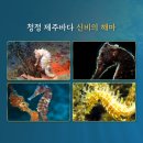 해마유통