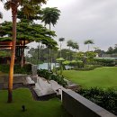 로얄헬스크럽 이미지