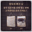 청남농산 | 맛있는쌀 쌀독에빠진날 백미 맛있는 밥짓기