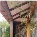 장전1038 이미지