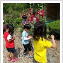 미원초교 금관분교 이미지