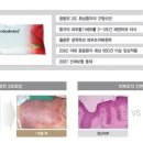 테고사이언스(주)