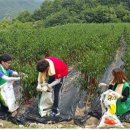 장수(여)경로당 이미지