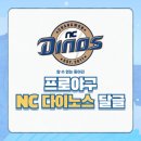 🩵⚾️프로야구 NC 다이노스 임시달글⚾💚️ 이미지