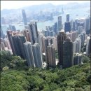 PYB행정사사무소 이미지