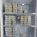 수원더셀의원 이미지