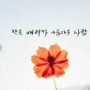 작은배려 Daum카페