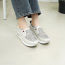 슈비즈 이미지