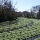 천을농장 이미지