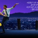 열정의 닭 이미지