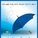 뮤지컬 사랑은 비를 타고 이미지