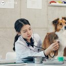 광장동물병원 이미지