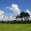 패밀리공원 이미지