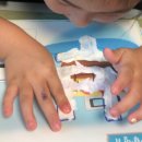 배곧중흥S클래스 이미지