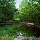 별서정원 이미지