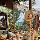 현대애견 | 여의도 더현대서울 크리스마스 빌리지 팝업 현장대기 오픈런 후기(애견동반)