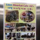 에덴미어캣프랜즈 이미지