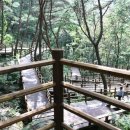 힐링소프트웨어 이미지