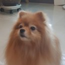 한독안경 이미지