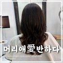 지에스25 영종신명점 | 원장님 안목에 놀랐던 하늘도시미용실 클리닉 포함 레이어드펌 후기ㅣ머리애반하다
