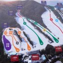 지산환경 | 지산 스키강습 추천 지산리조트스키학교 공식 어린이강습후기