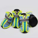 도기스쿨 이미지