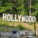 짝지식당 이미지