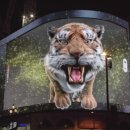 주식회사 알마로꼬 이미지