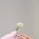 Q체형관리 이미지